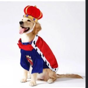 King dog costume